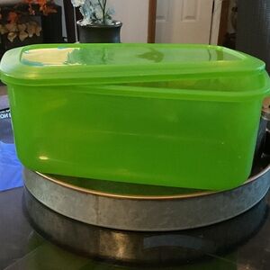 Debbie Meyer Green Box Bread Storage Container